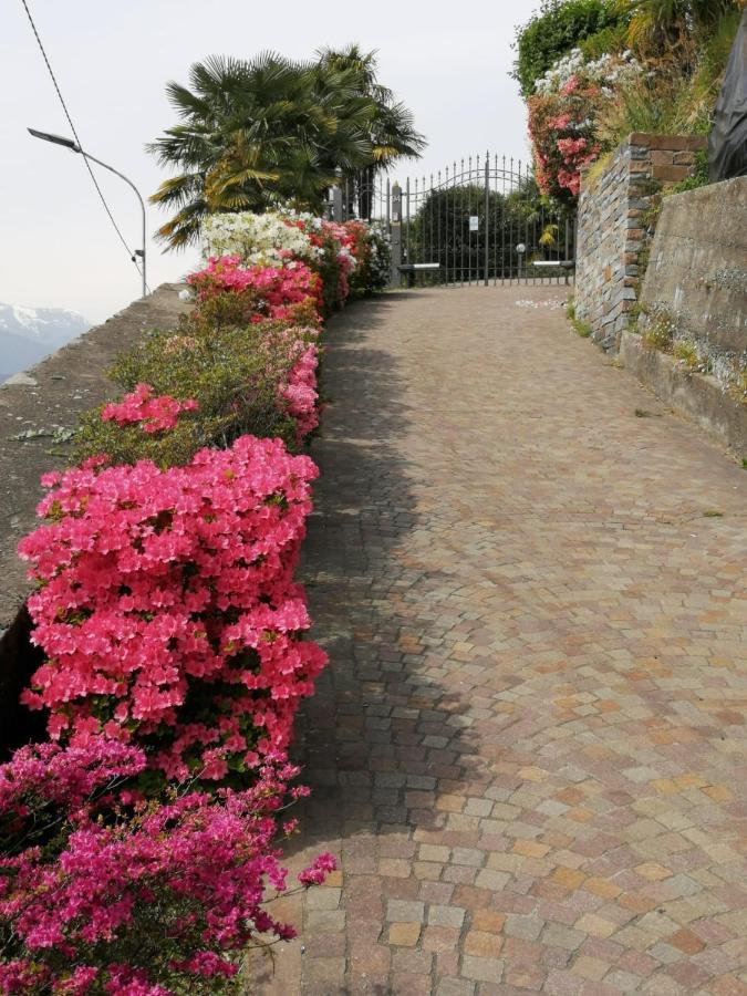 Primavera *